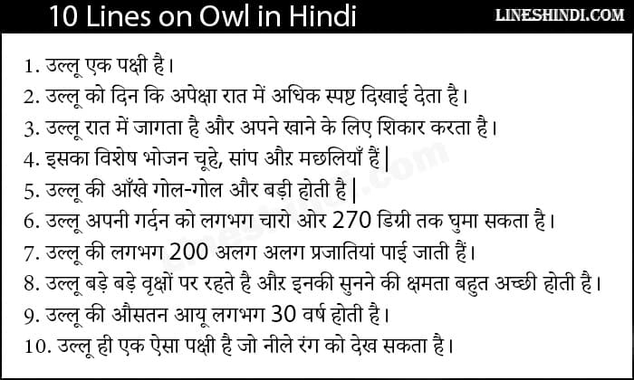 owl essay in hindi