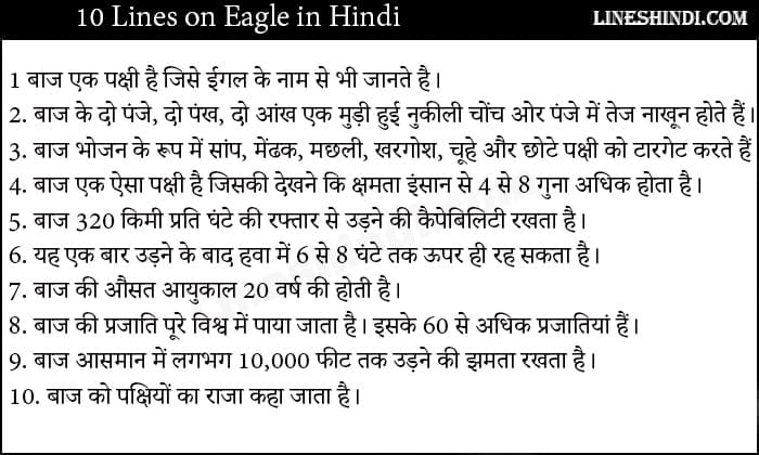 eagle essay on hindi