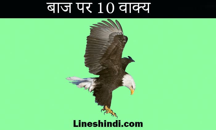 eagle essay on hindi