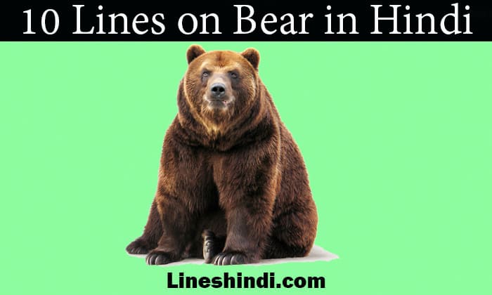 10 lines on bear in hindi