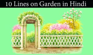 10 lines on garden in hindi