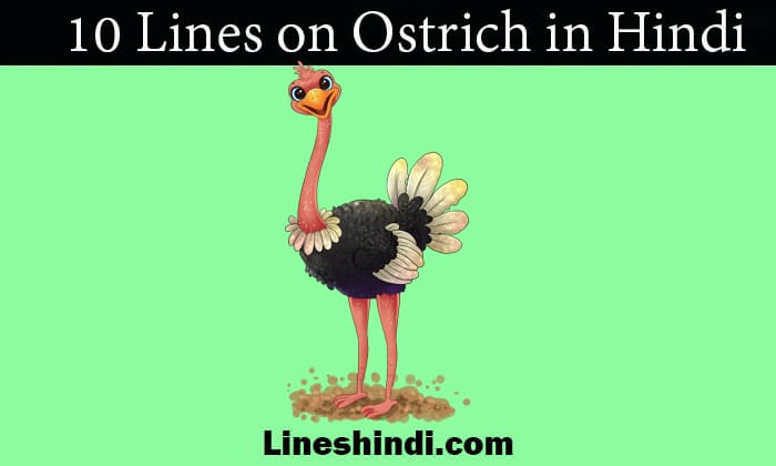 10 lines on ostrich in hindi