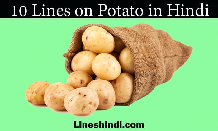 10 lines on potato in hindi