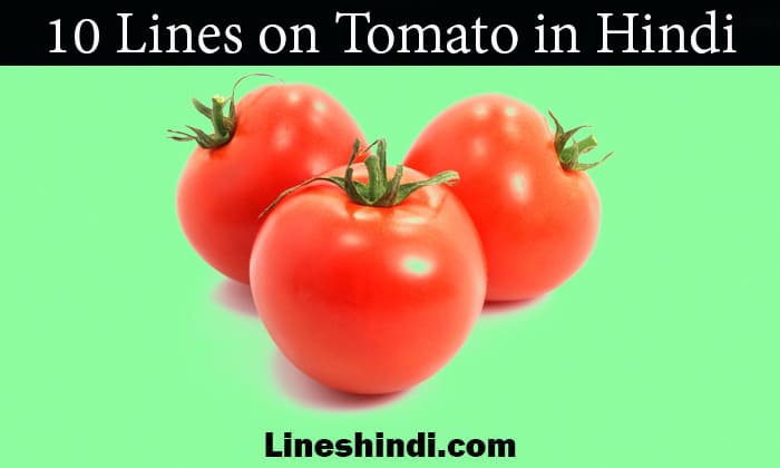 10 lines on tomato in hindi
