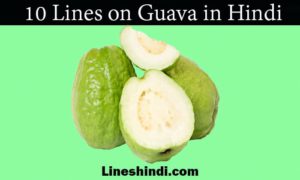 10 lines on guava in hindi