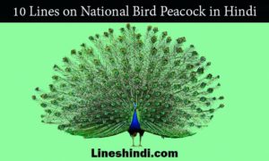 10 lines on national bird peacock in hindi