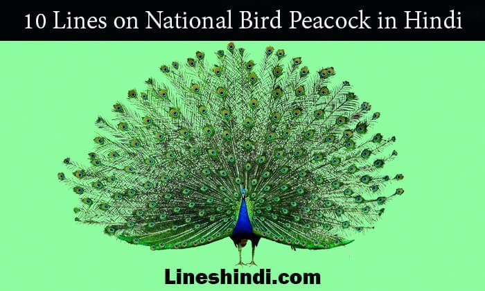 10 lines on national bird peacock in hindi