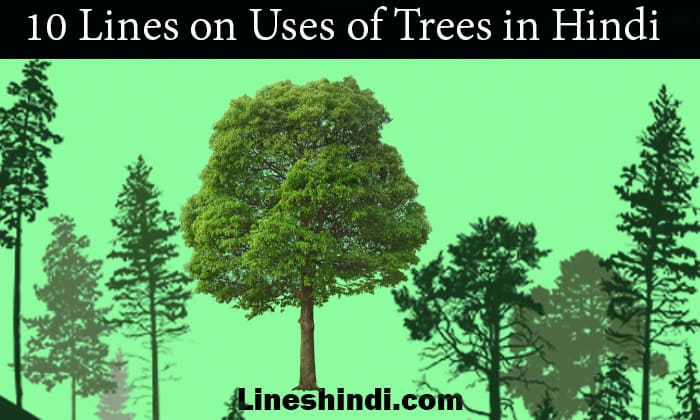 10 lines on uses of trees in hindi