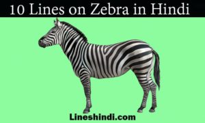 10 lines on zebra in hindi