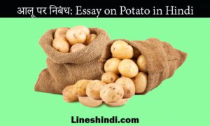 आलू पर निबंध Essay on Potato in Hindi