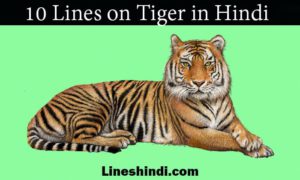 10 Lines on Tiger in Hindi